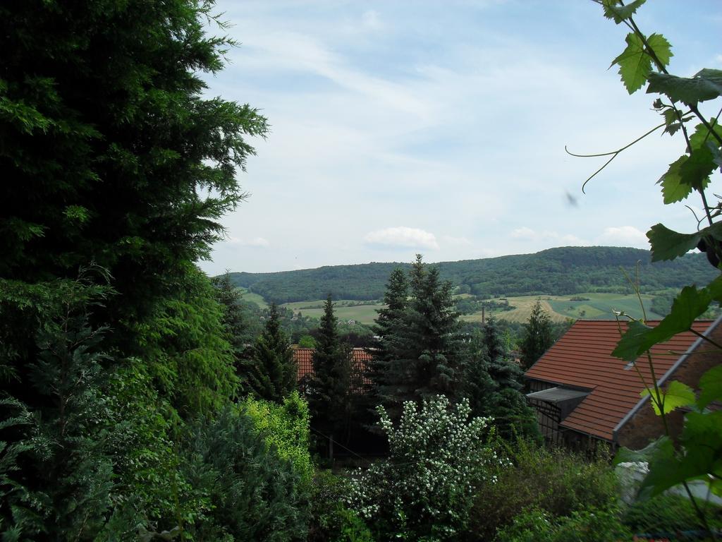Ferienwohnung Bergblick Jena Pokoj fotografie